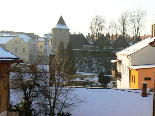 P1050235.JPG