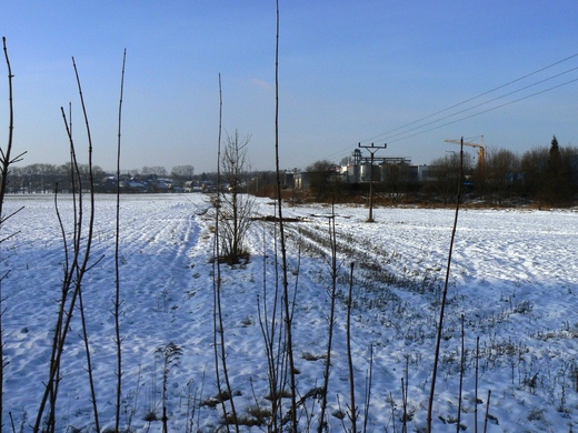 P1050276.JPG