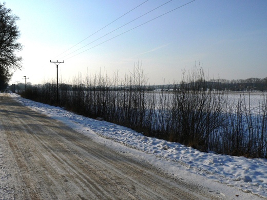 P1050278.JPG