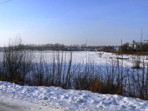 P1050279.JPG
