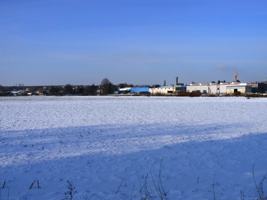 P1050282.JPG