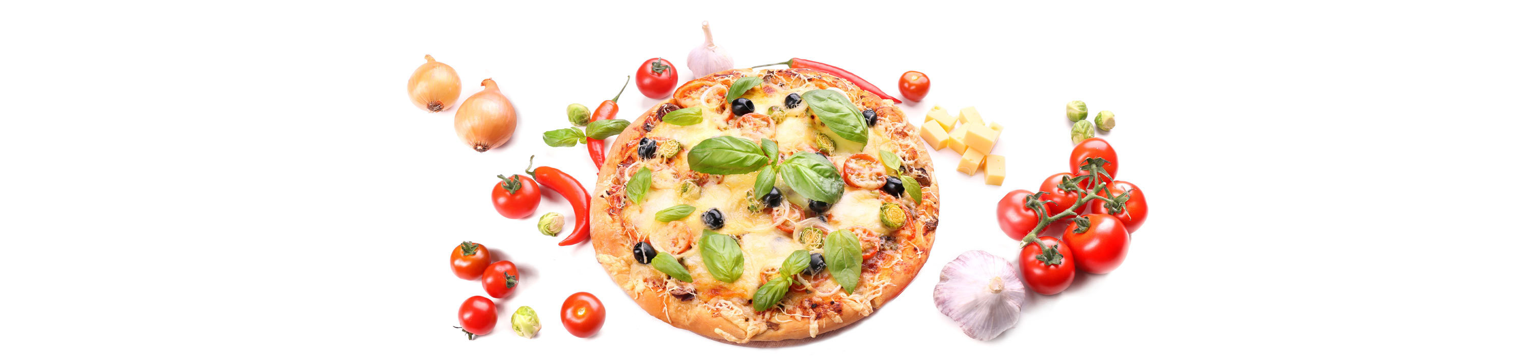 motive gastro 3.jpg